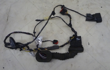 Tür Kabelsatz hinten links 3M5T14240ACG-Ford Focus C-MAX 1.6 TDCi
